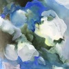 Hydrangea I 20 x 20