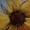 Sunflower 10 x 10