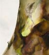 Tree Bud 40 x 36